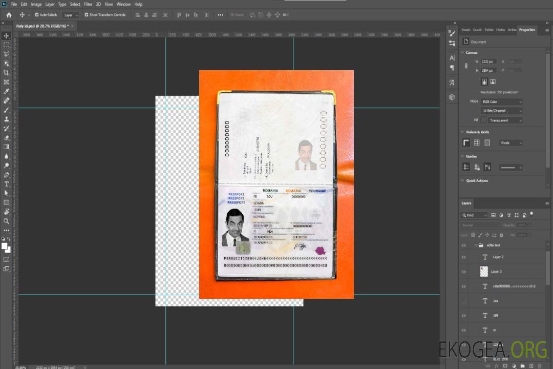 Photo d'identité du passeport roumain template Photo d'identité du passeport roumain template